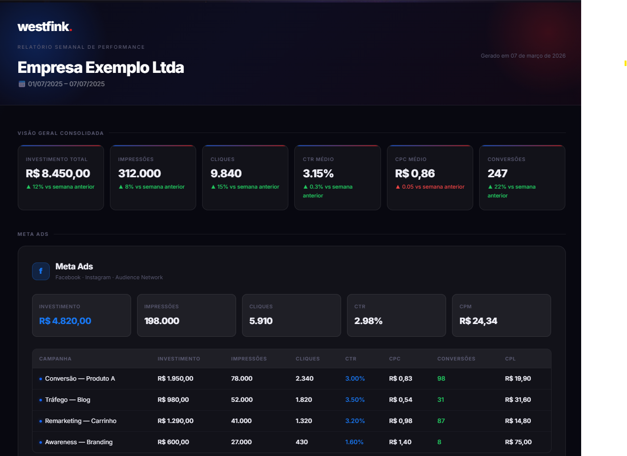 Preview do Relatório